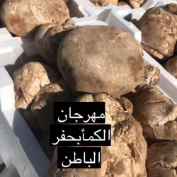 القارئ الماهر في ابتدائية البراء بن مالك ..