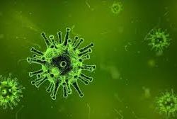 “الصحة” : تسجيل 435 إصابة جديدة بفيروس كورونا” .. والإجمالي يرتفع إلى 5369