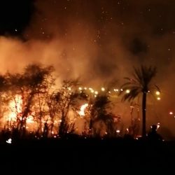 حريق ضخم يندلع في “برج بالشارقة”