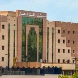 جامعة الملك فيصل.. تطلق حملة لغرس 45 ألف شتلة في واحة الأحساء