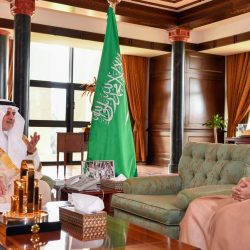 وزير الخارجية السعودي يلتقي وزير الخارجية الجزائري