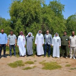 مكتب وزارة البيئة بمحافظة جدة يواكب يوم التأسيس بمعرض للصقور وتوزيعات للشتلات