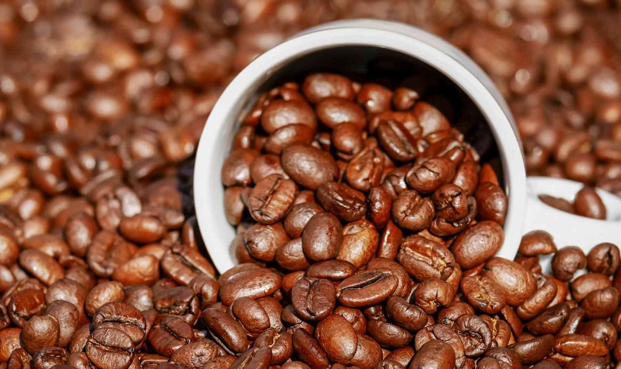 لماذا يسبب التوقف المفاجئ عن الكافيين صداعًا وتعبًا؟ تفسير علمي 1 1 13