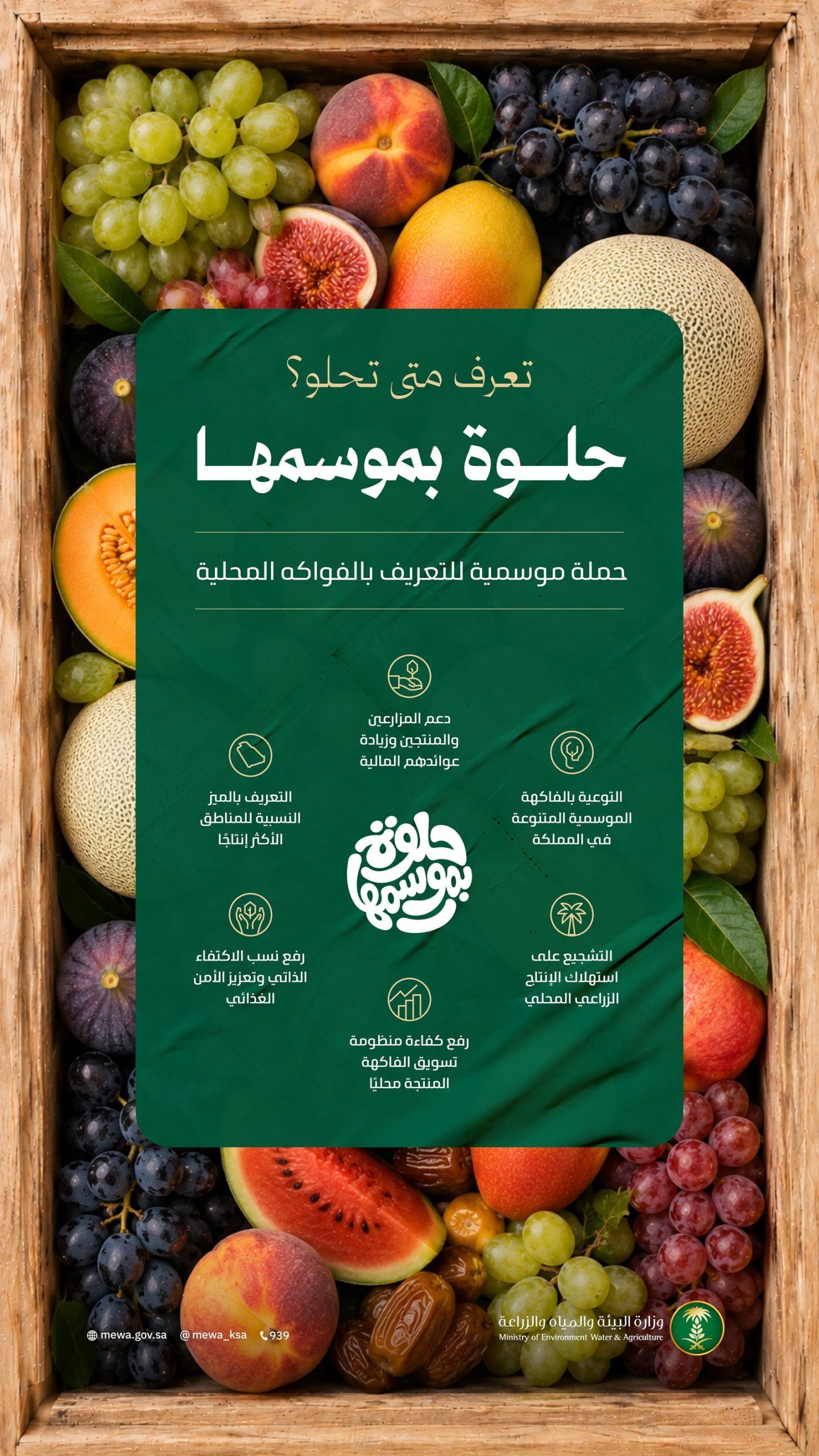 "البيئة" تطلق حملة "حلوة بموسمها" للتعريف بالفواكه المحلية دعمًا للمزارعين والمنتجين 1 F10283855 scaled