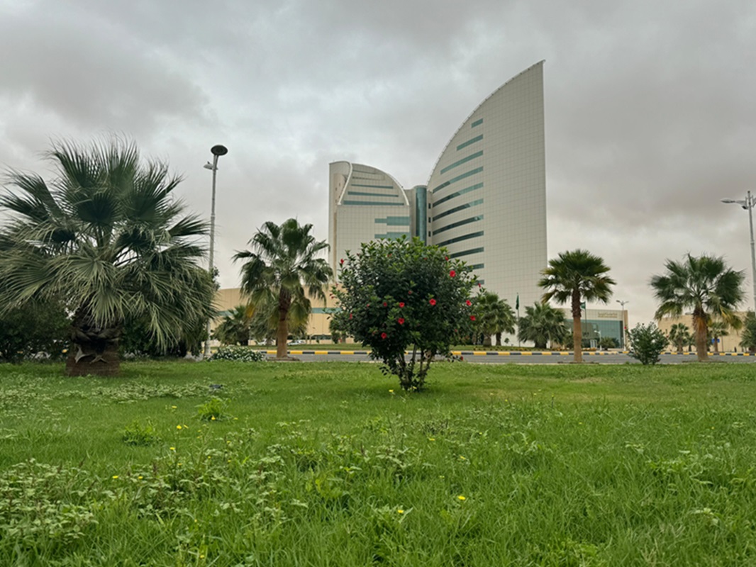 جامعة نجران تعلن توفر وظائف أكاديمية لحملة الماجستير بنظام عقود التعاون للفصل الصيفي 1 جامعة نجران