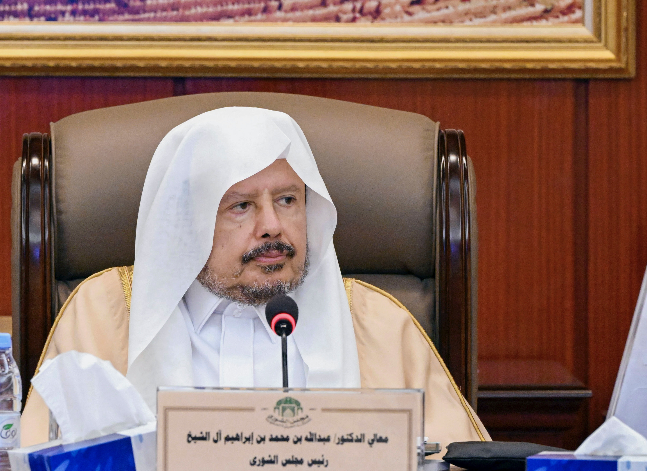 رئيس مجلس الشورى يرأس أعمال اللجنة التنفيذية للاتحاد البرلماني العربي في القاهرة 1 1 71