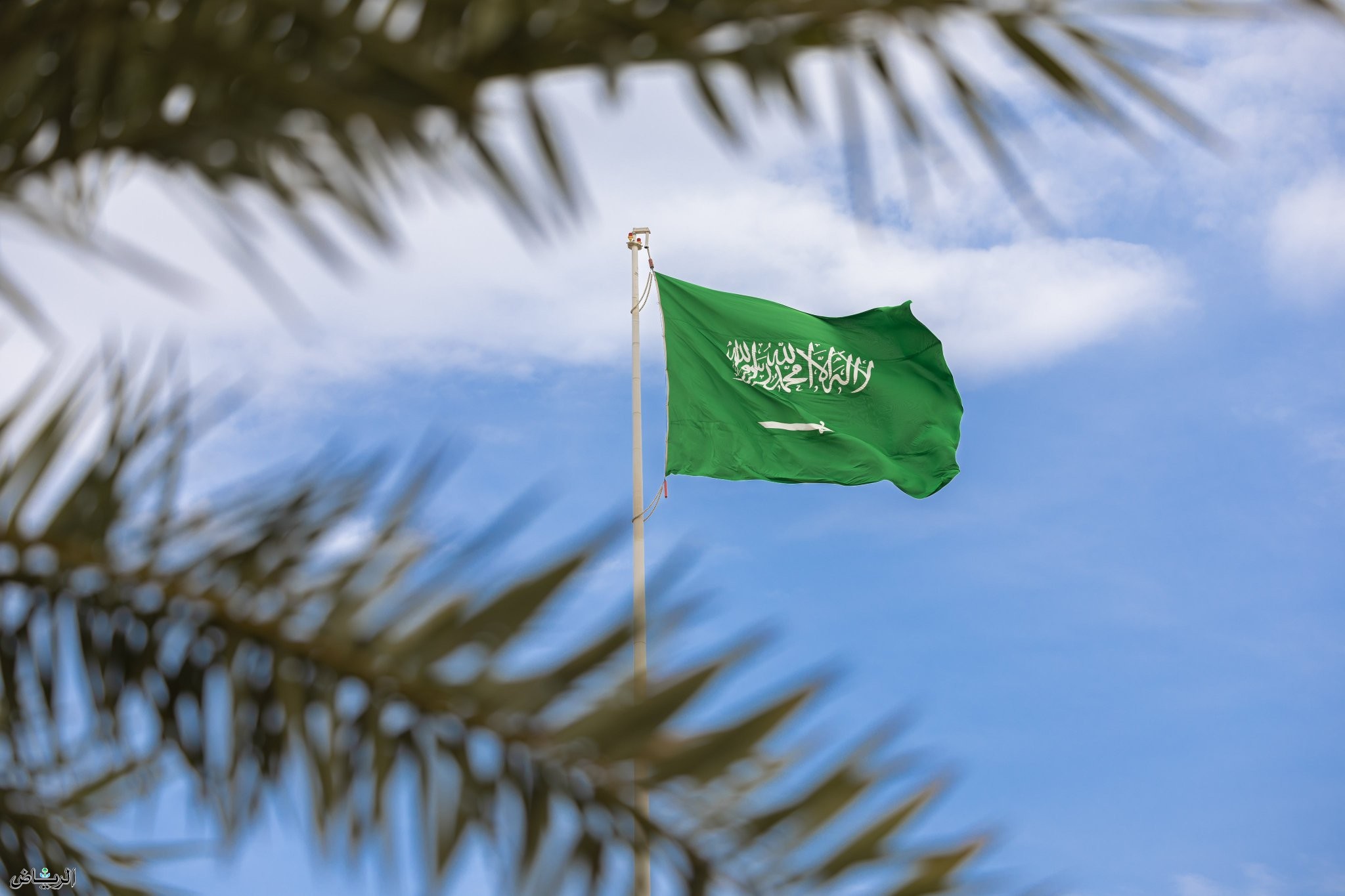 المملكة تدين وتستنكر بأشد العبارات اقتحام باحات المسجد الأقصى من قبل مسؤول في سلطات الاحتلال الإسرائيلي ومجموعة من المستوطنين 1 1 75