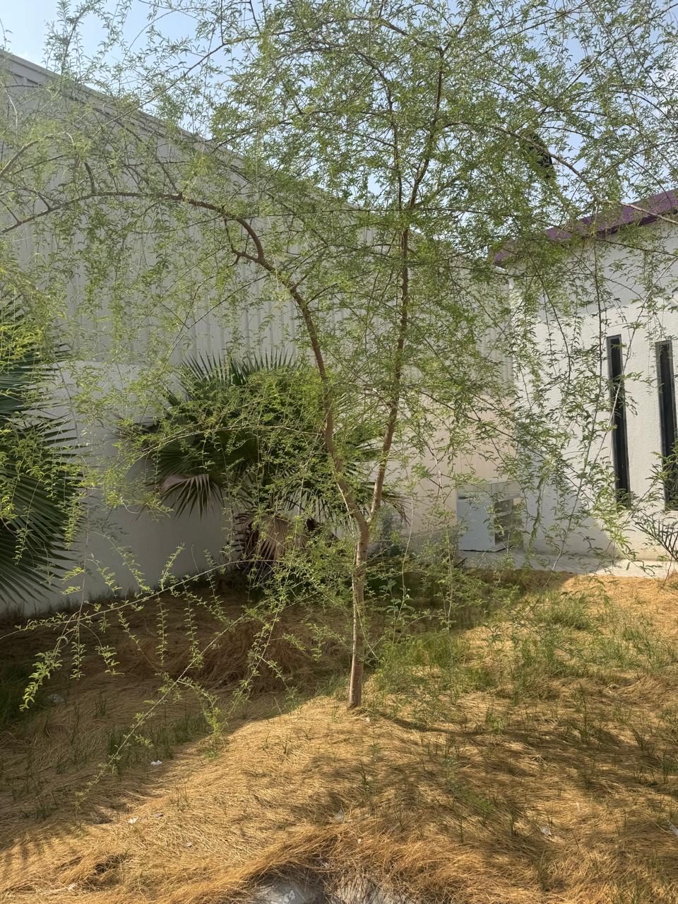 IMG 20260908 WA0063