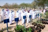 جامعة الملك فيصل تغرس 45 ألف شجرة في واحة الاحساء
