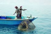 حظر صيد الروبيان بالخليج العربي  في فبراير