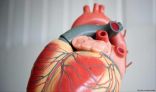 عقار يقلل خطر الإصابة بأمراض القلب