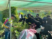 25 سيدة في يوم حقلي عن الممارسات الزراعية السليمة بزراعة الشرقية