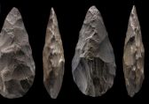 اكتشاف أدوات حجرية بحائل عمرها 350 ألف سنة
