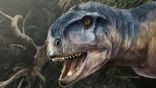 “رأس ديناصور” عمرها 85 مليون سنة.. اكتشفت في هذه المنطقة
