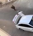 القبض على مواطن أطلق النار على آخر من سلاح رشاش