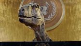 ديناصور على منبر الأمم المتحدة : انتم في الطريق نحو كارثة