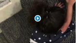 فيديو مروع لخادمة تعذب طفلة يثير الغضب على مواقع التواصل الاجتماعي