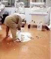 سقوط جزء من سقف «حضانة» مستشفى الولادة والأطفال بالدمام