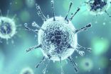 منظمة الصحة العالمية …تعلن عن اسم رسمي لفيروس “كورونا ” 