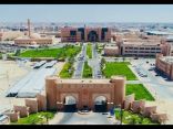 مهارات النجاح والإعداد المهني للخريجين .. ورشة عمل تقيمها جامعة الفيصل