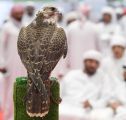 أبو ظبي تنظم أكبر معرض دولي للصيد والفروسية في اغسطس المقبل