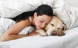 طبيبة نفسية تؤكد : في الأحلام .. الكلاب كالبشر‎